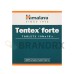 Tentex Forte Himalaya